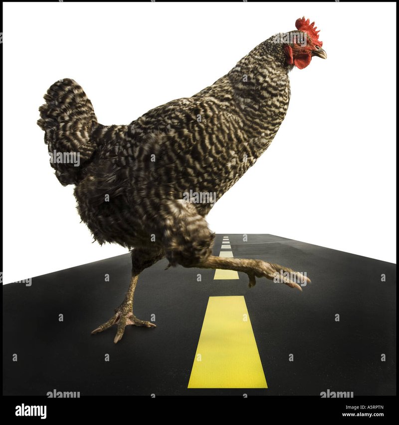 Jugar chicken road - Descubre el Mito de la Ruta del Pollo en los casinos españoles
